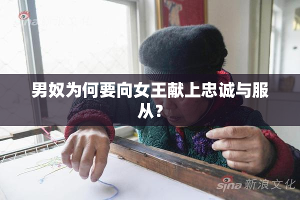 男奴为何要向女王献上忠诚与服从？