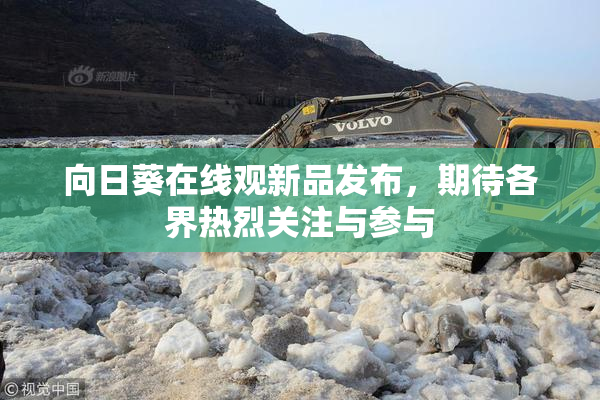 向日葵在线观新品发布，期待各界热烈关注与参与
