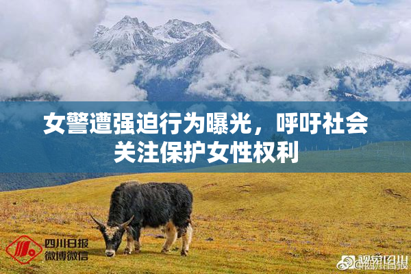 女警遭强迫行为曝光，呼吁社会关注保护女性权利