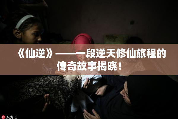 《仙逆》——一段逆天修仙旅程的传奇故事揭晓！