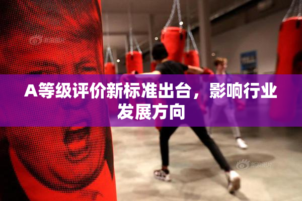 A等级评价新标准出台，影响行业发展方向