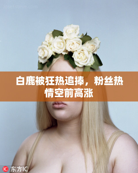 白鹿被狂热追捧，粉丝热情空前高涨