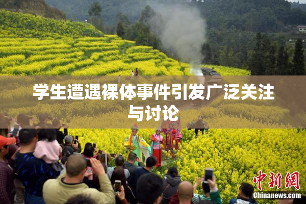 学生遭遇裸体事件引发广泛关注与讨论