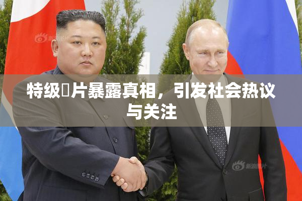 特级婬片暴露真相，引发社会热议与关注