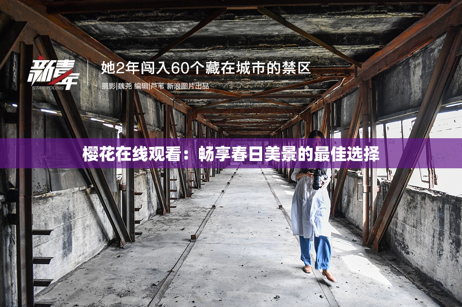 樱花在线观看：畅享春日美景的最佳选择