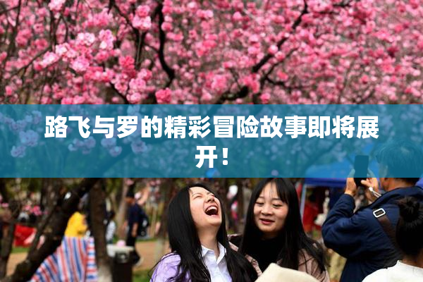 路飞与罗的精彩冒险故事即将展开！