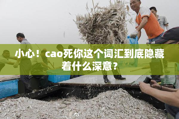 小心！cao死你这个词汇到底隐藏着什么深意？