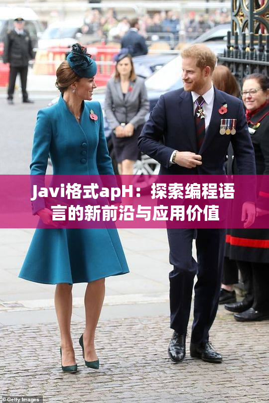 Javi格式apH：探索编程语言的新前沿与应用价值
