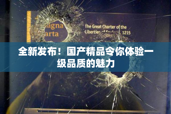 全新发布！国产精品令你体验一级品质的魅力