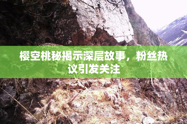 樱空桃秘揭示深层故事，粉丝热议引发关注