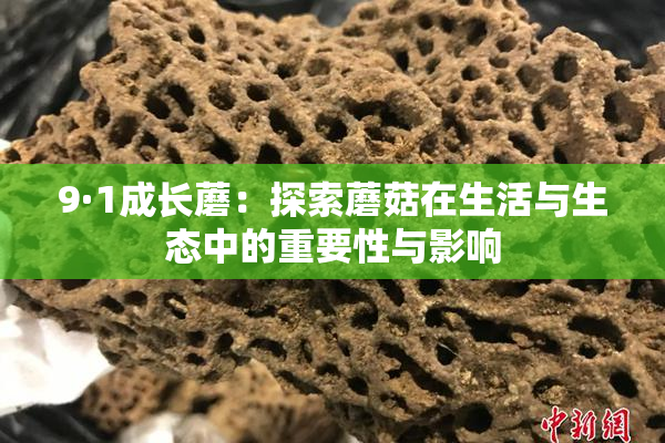 9·1成长蘑：探索蘑菇在生活与生态中的重要性与影响