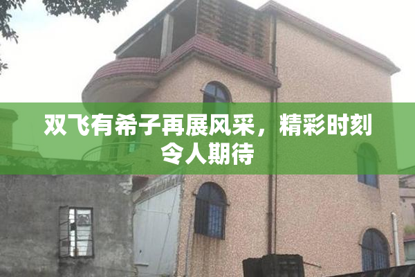 双飞有希子再展风采，精彩时刻令人期待