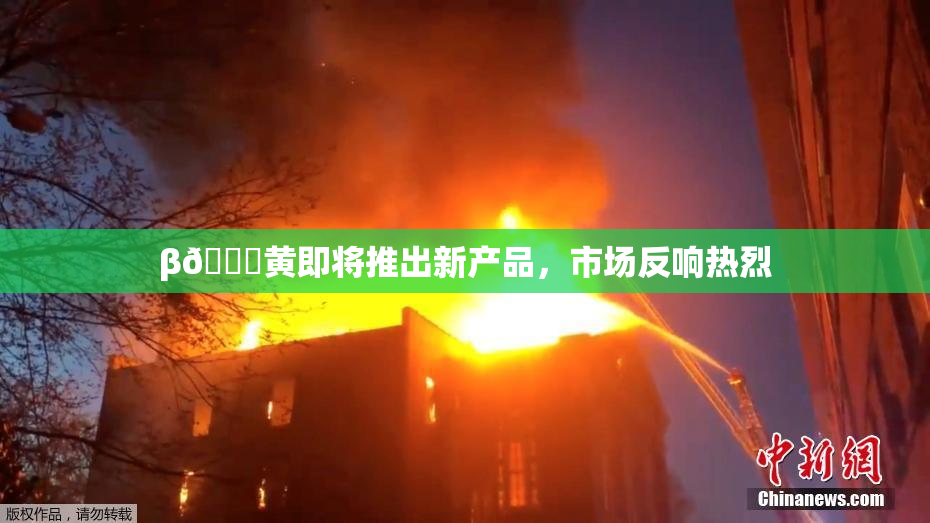 β🔞黄即将推出新产品，市场反响热烈