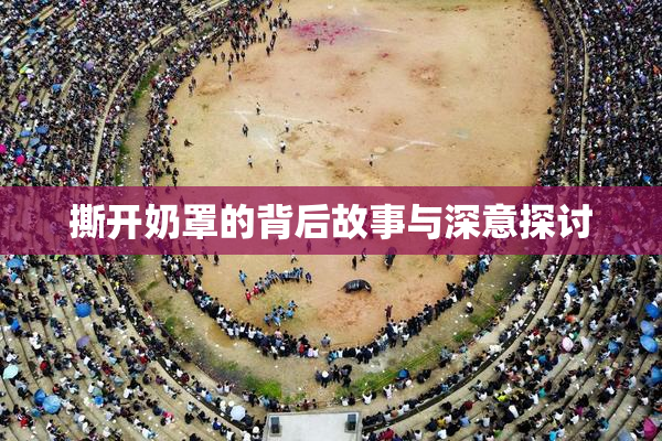 撕开奶罩的背后故事与深意探讨