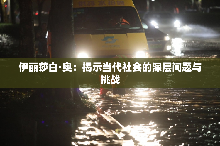 伊丽莎白·奥：揭示当代社会的深层问题与挑战