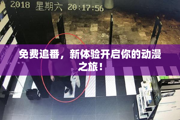 免费追番，新体验开启你的动漫之旅！
