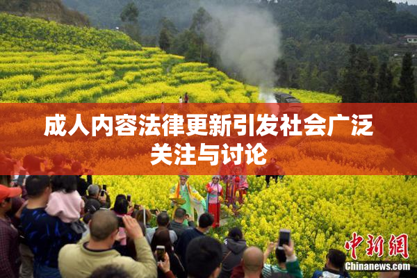 成人内容法律更新引发社会广泛关注与讨论