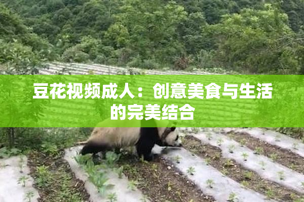 豆花视频成人：创意美食与生活的完美结合