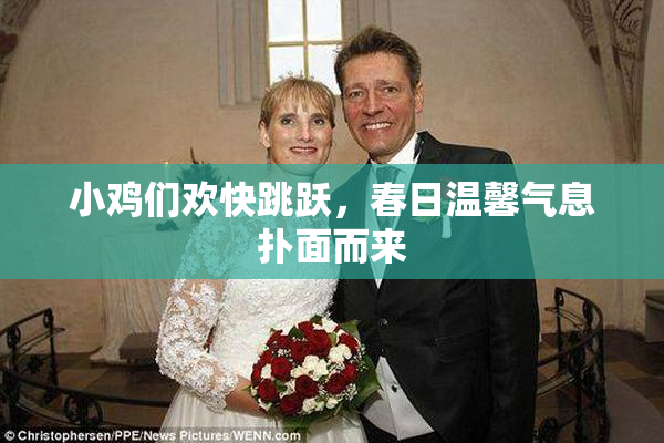 小鸡们欢快跳跃，春日温馨气息扑面而来