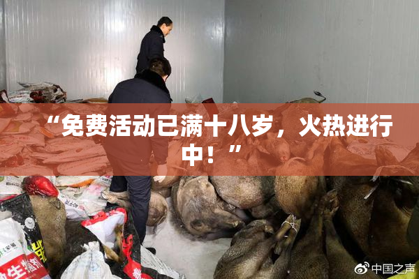 “免费活动已满十八岁，火热进行中！”