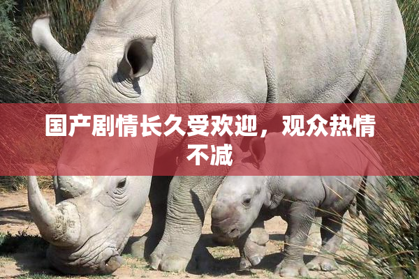 国产剧情长久受欢迎，观众热情不减