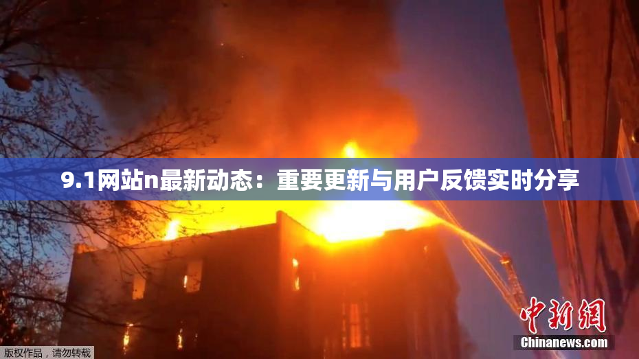 9.1网站n最新动态：重要更新与用户反馈实时分享