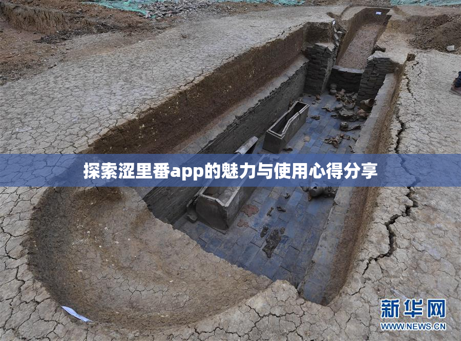探索涩里番app的魅力与使用心得分享