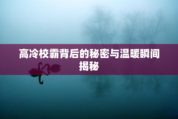 高冷校霸背后的秘密与温暖瞬间揭秘