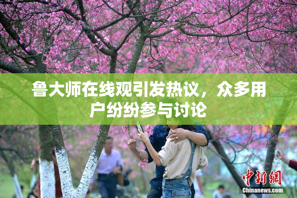 鲁大师在线观引发热议，众多用户纷纷参与讨论