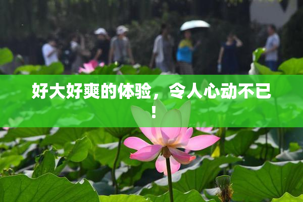 好大好爽的体验，令人心动不已！