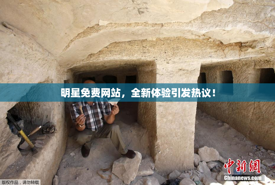 明星免费网站，全新体验引发热议！