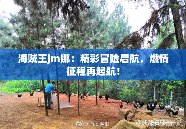 海贼王jm娜：精彩冒险启航，燃情征程再起航！