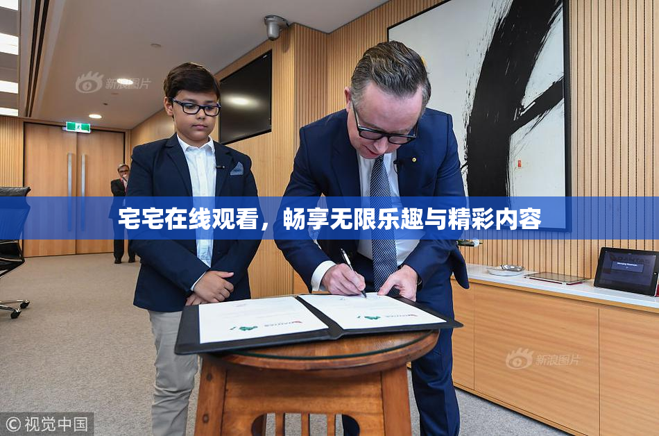 宅宅在线观看，畅享无限乐趣与精彩内容