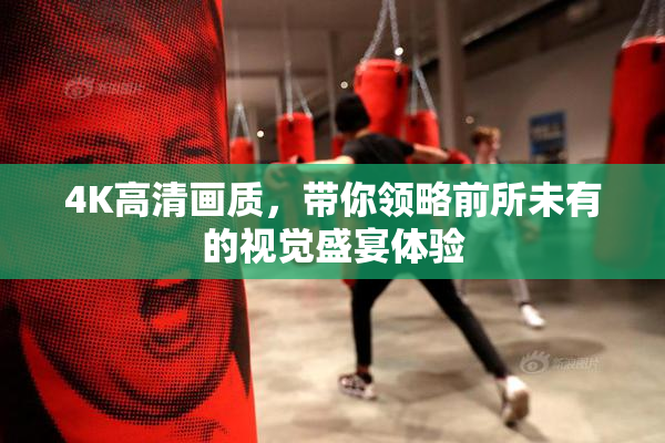 4K高清画质，带你领略前所未有的视觉盛宴体验