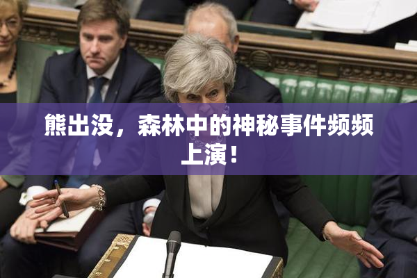 熊出没，森林中的神秘事件频频上演！