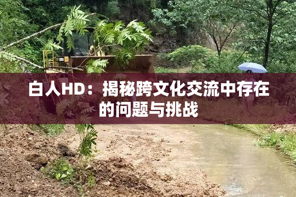 白人HD：揭秘跨文化交流中存在的问题与挑战