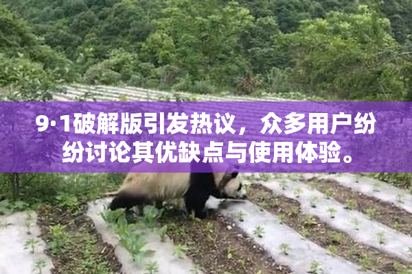 9·1破解版引发热议，众多用户纷纷讨论其优缺点与使用体验。