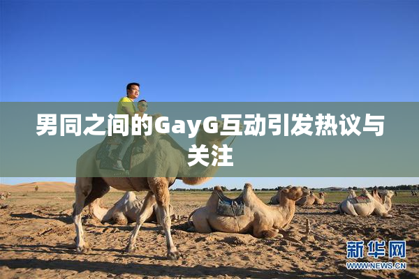 男同之间的GayG互动引发热议与关注