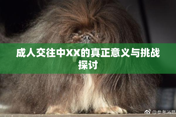 成人交往中XX的真正意义与挑战探讨