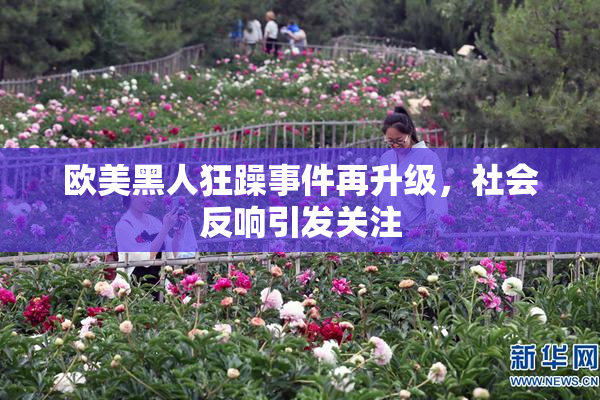 欧美黑人狂躁事件再升级，社会反响引发关注