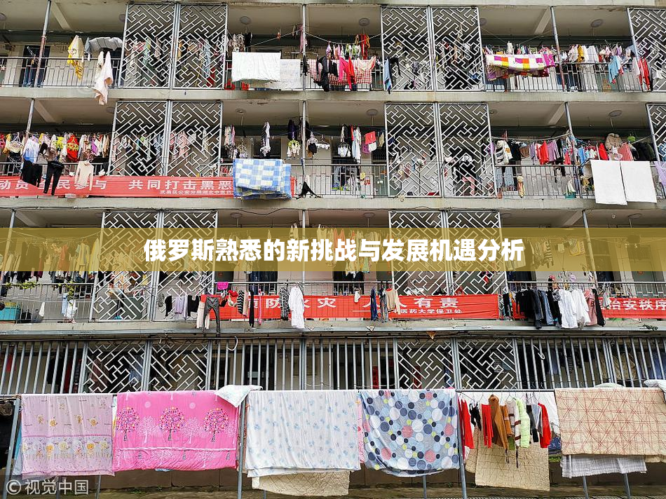 俄罗斯熟悉的新挑战与发展机遇分析