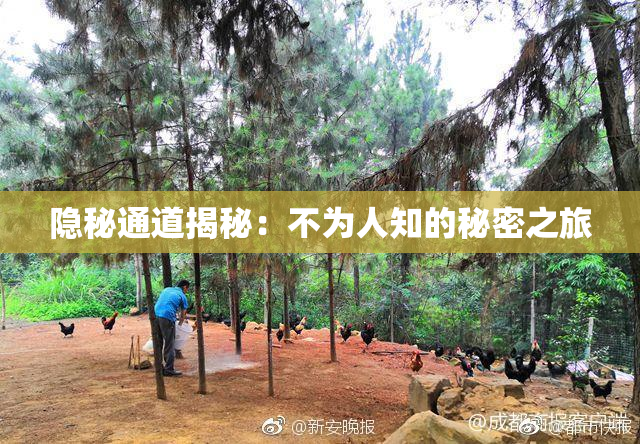 隐秘通道揭秘：不为人知的秘密之旅