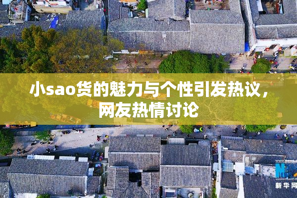 小sao货的魅力与个性引发热议，网友热情讨论