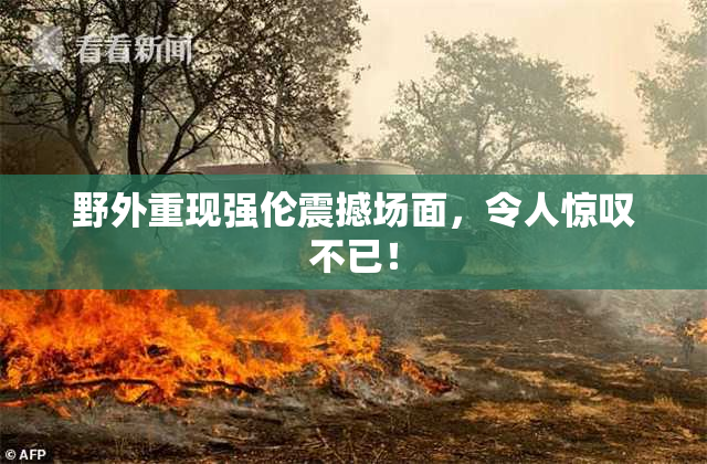 野外重现强伦震撼场面，令人惊叹不已！