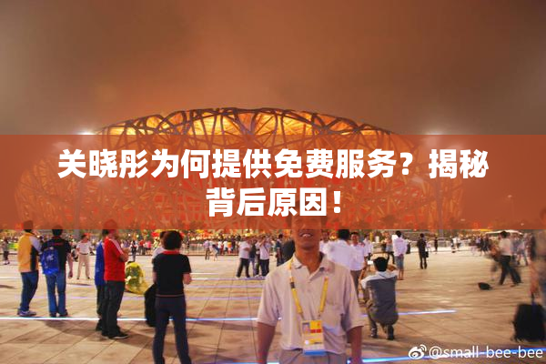 关晓彤为何提供免费服务？揭秘背后原因！