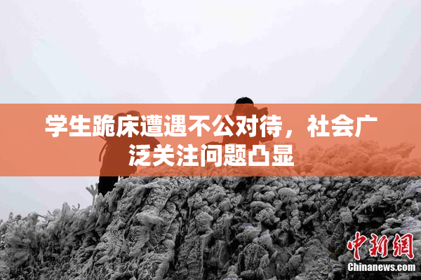 学生跪床遭遇不公对待，社会广泛关注问题凸显