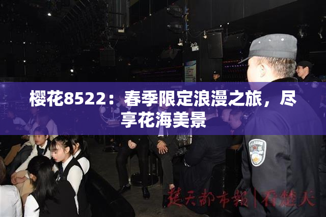 樱花8522：春季限定浪漫之旅，尽享花海美景