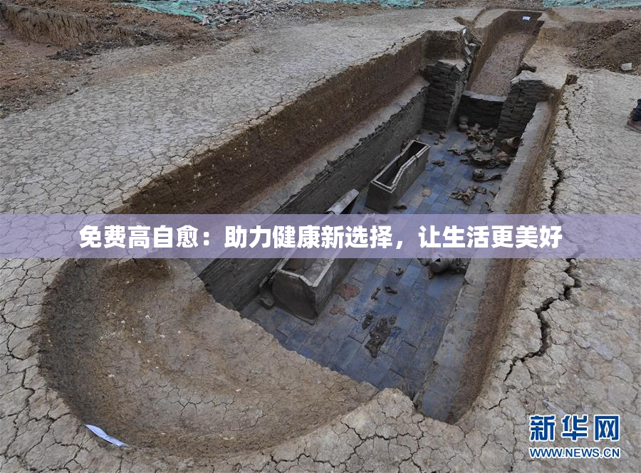 免费高自愈：助力健康新选择，让生活更美好