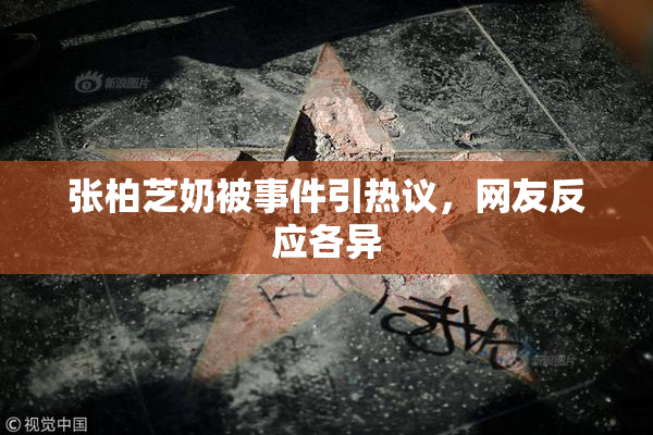 张柏芝奶被事件引热议，网友反应各异