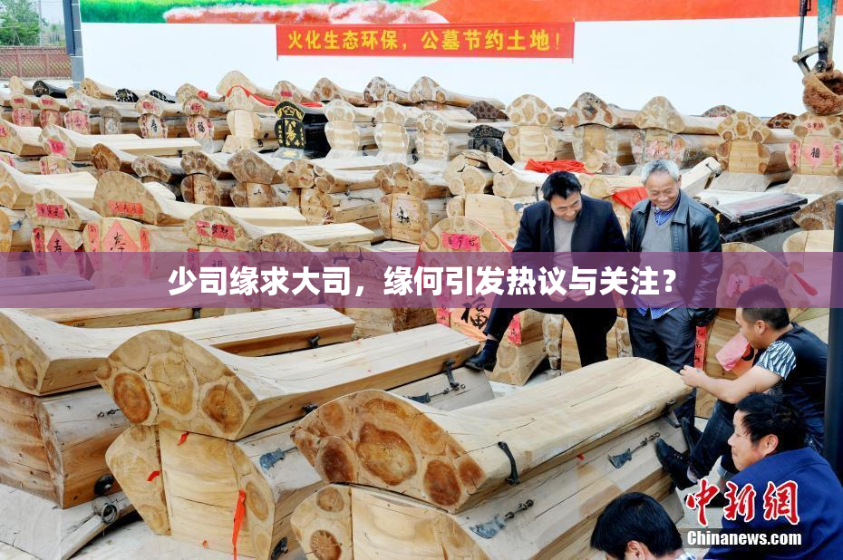 少司缘求大司，缘何引发热议与关注？